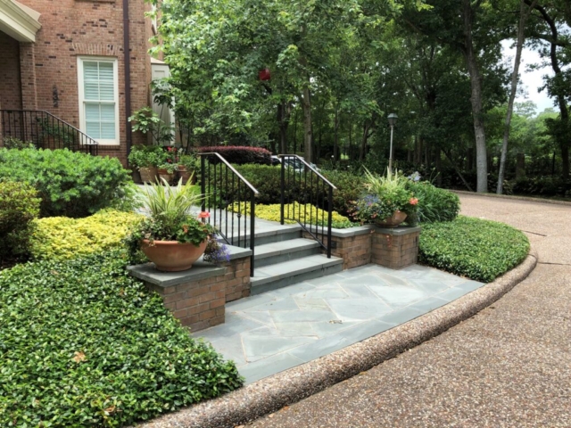 Manicured front entry for a home in Tanglewood, Texas