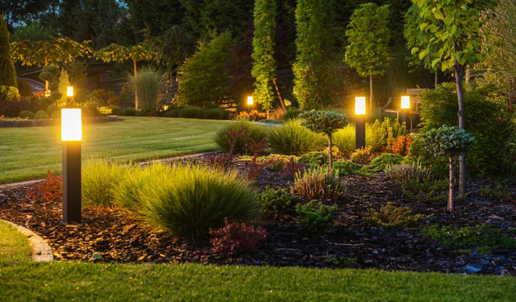 Lush backyard with custom landscape lighting.